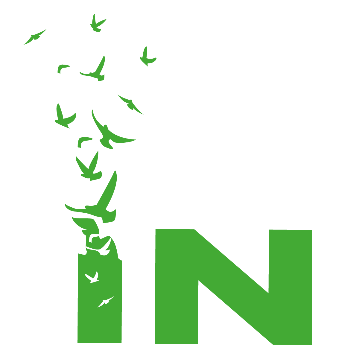 Infinance Logo